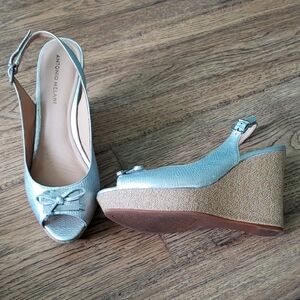 Antonio Melani Silver Wedge Sandals